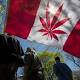 All eyes on Canada as first G7 nation prepares to make marijuana ...