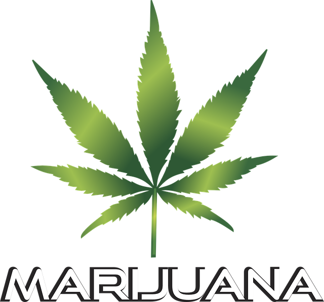 background black cannabis culture design drug emblem graphic grass green grunge hash hashish hemp herb herbal icon illegal insignia isolated joint label leaf legal legalize marijuana medical medicinal medicine narcotic natural plant prescription relax seal silhouette stamp symbol thc weed white cannabis cannabis marijuana marijuana marijuana marijuana marijuana weed weed weed weed
