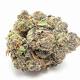 Best Buds: The Top 12 Strains of 2014