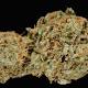 Best tasting weed: 10 most scrumptious strains of pot