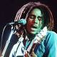 Bob Marley Biopic in Works From Ziggy Marley