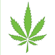 Canadian Senate votes to legalize cannabis