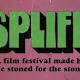 Dan Savage Launches New Marijuana Film Festival For 4/20