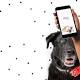 Find your perfect dog-loving soulmate with the Dig dating app