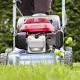 Gardening: Grass, man! And what's best for where