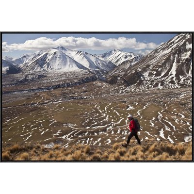 'Hiker Descends Hill of Tussock Grass Above Lake Heron Station, Canterbury, New Zealand' Photographic Print