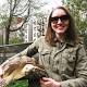Isn't New York supposed to be fast-paced? Woman shell-shocked by response to advert for a TORTOISE walker in ...