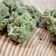 11 Rarest Strains of Marijuana in the United States