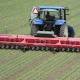 Automated Weeders Have Arrived in Vegetable Fields