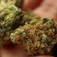 California launches legal sale of marijuana for recreational use