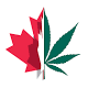 Canada Is About to Inhale the Global Pot Market. Thanks, Jeff Sessions.