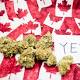 Canada's Historic Marijuana Vote: The Good and the Bad