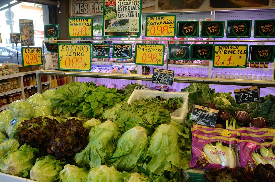 grocery stores vegetables greens foods edible healthy raw cabbage spinach markets sale buy price tags display arrangement arranged supermarket products shops shopping grocery grocery cabbage spinach supermarket supermarket supermarket supermarket supermarket