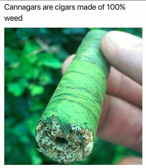 RT @Zamnesia: Who you wanna smoke this with? #cannagars #weed #cannabis...