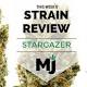 Stargazer Marijuana Strain Review