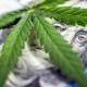 This Under-the-Radar Ancillary Marijuana Stock Just Reported a Near-Tripling in Q3 Sales